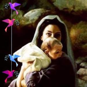 Meet your Posher, Cyndi